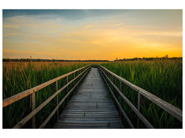 canvas-print-sunset-in-the-fields