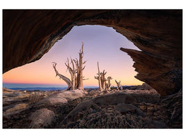 canvas-print-sunset-out-of-window-x