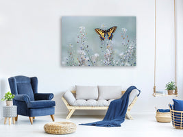 canvas-print-swallowtail-beauty