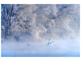 canvas-print-swan-lake-x