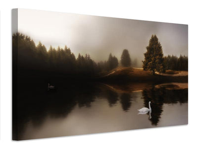 canvas-print-swan-lake-xod