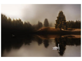 canvas-print-swan-lake-xod