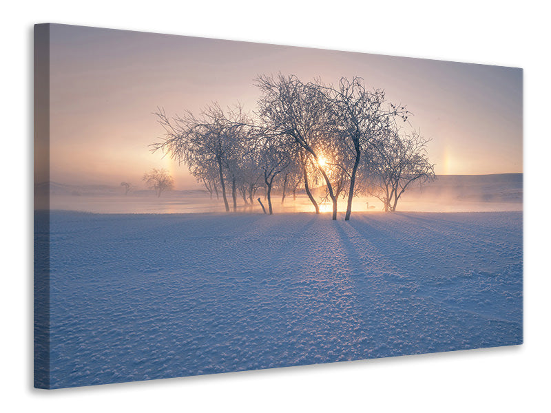 canvas-print-swan-lake