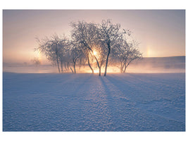 canvas-print-swan-lake