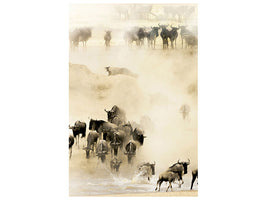 canvas-print-swarming