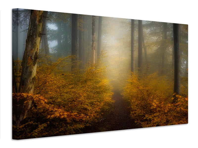 canvas-print-take-me-for-a-walk-x