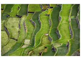 canvas-print-terrace-walking