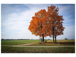 canvas-print-the-3-trees