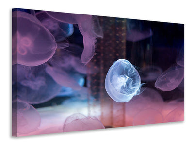 canvas-print-the-beauty-of-jellyfish