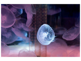 canvas-print-the-beauty-of-jellyfish