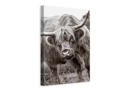 canvas-print-the-bull-x