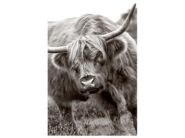 canvas-print-the-bull-x