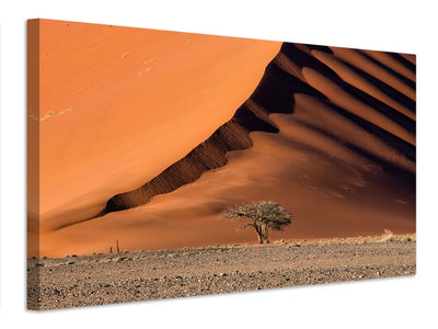canvas-print-the-dune-and-the-tree-x
