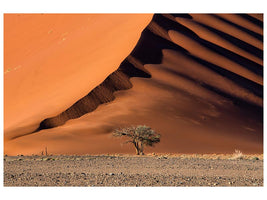 canvas-print-the-dune-and-the-tree-x