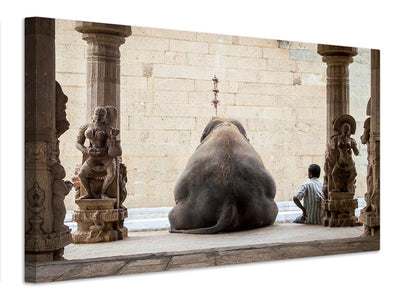 canvas-print-the-elephant-a-its-mahot-x