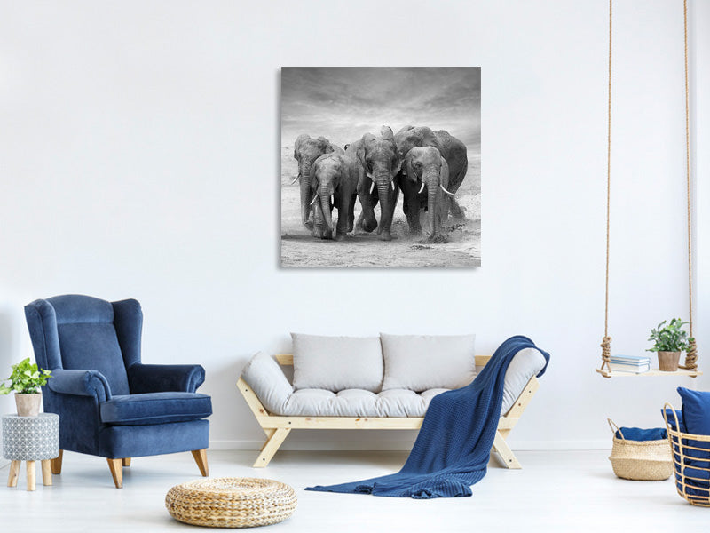 canvas-print-the-elephants
