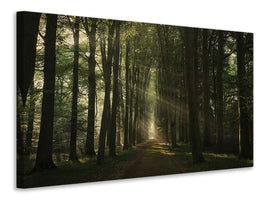 canvas-print-the-essential