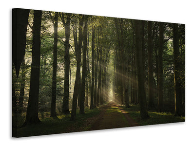 canvas-print-the-essential