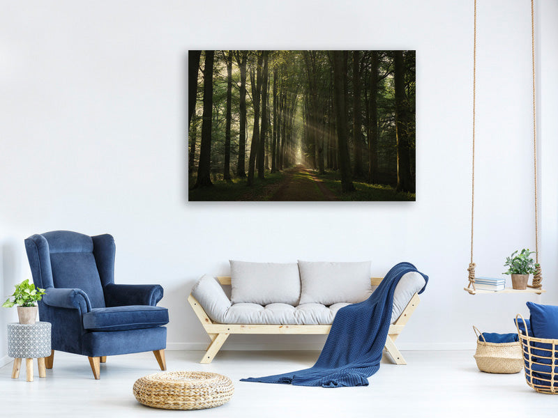 canvas-print-the-essential