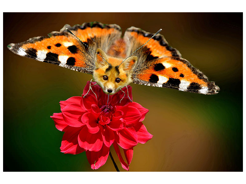 canvas-print-the-flying-fox