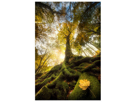 canvas-print-the-goodbye-of-a-leaf