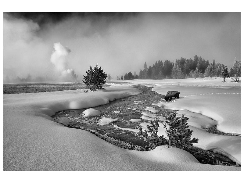 canvas-print-the-hardship-of-winter