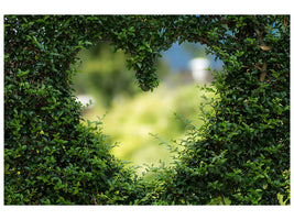 canvas-print-the-heart-in-the-hedge