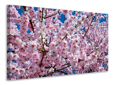 canvas-print-the-japanese-cherry