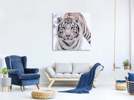 canvas-print-the-king-tiger