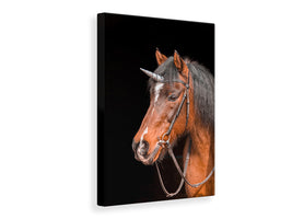 canvas-print-the-last-unicorn