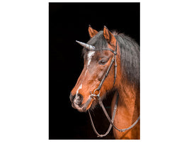 canvas-print-the-last-unicorn