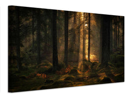 canvas-print-the-light-in-the-forest-x