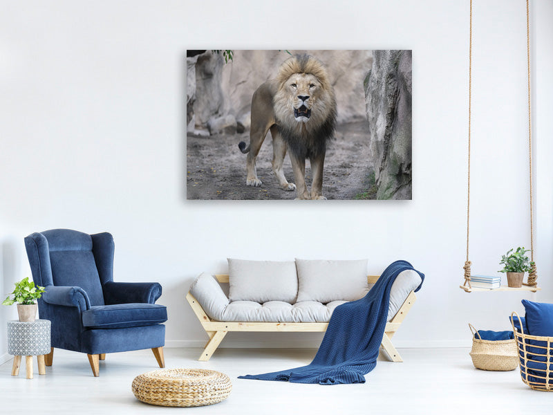 canvas-print-the-lion-and-his-kingdom