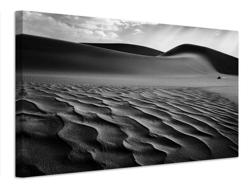 canvas-print-the-living-dunes-namibia-i-x