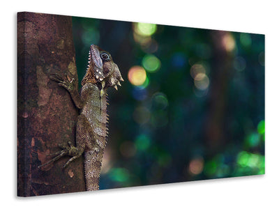 canvas-print-the-lizard