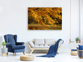 canvas-print-the-magnificent-autumn-tree