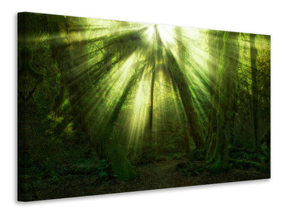 canvas-print-the-miracle