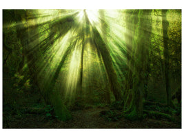 canvas-print-the-miracle