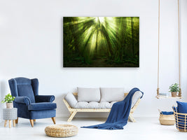 canvas-print-the-miracle