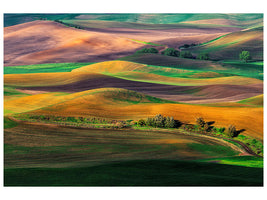 canvas-print-the-palouse