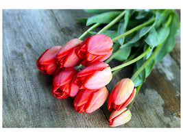 canvas-print-the-red-tulip-bouquet