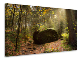 canvas-print-the-rock-in-the-forest