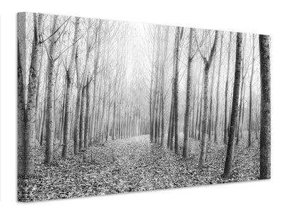 canvas-print-the-shape-of-trees-03-x