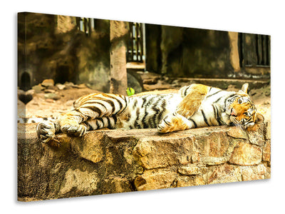 canvas-print-the-siberian-tiger