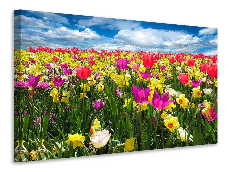 canvas-print-the-spring-awakening