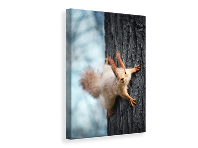 canvas-print-the-squirrel