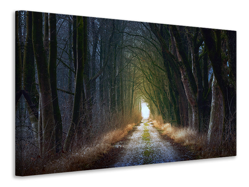 canvas-print-the-tree-avenue