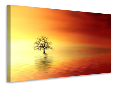 canvas-print-the-tree-in-the-water