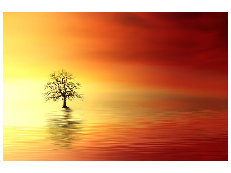 canvas-print-the-tree-in-the-water