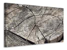 canvas-print-the-tree-rings